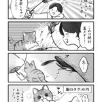 猫飼いさんは思わず共感しちゃうかも？高級猫じゃらしを買ってきたときのお話を描いた猫漫画!