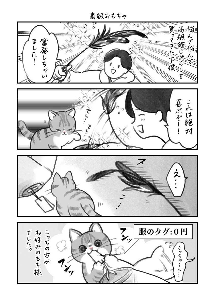 猫飼いさんは思わず共感しちゃうかも？高級猫じゃらしを買ってきたときのお話を描いた猫漫画！