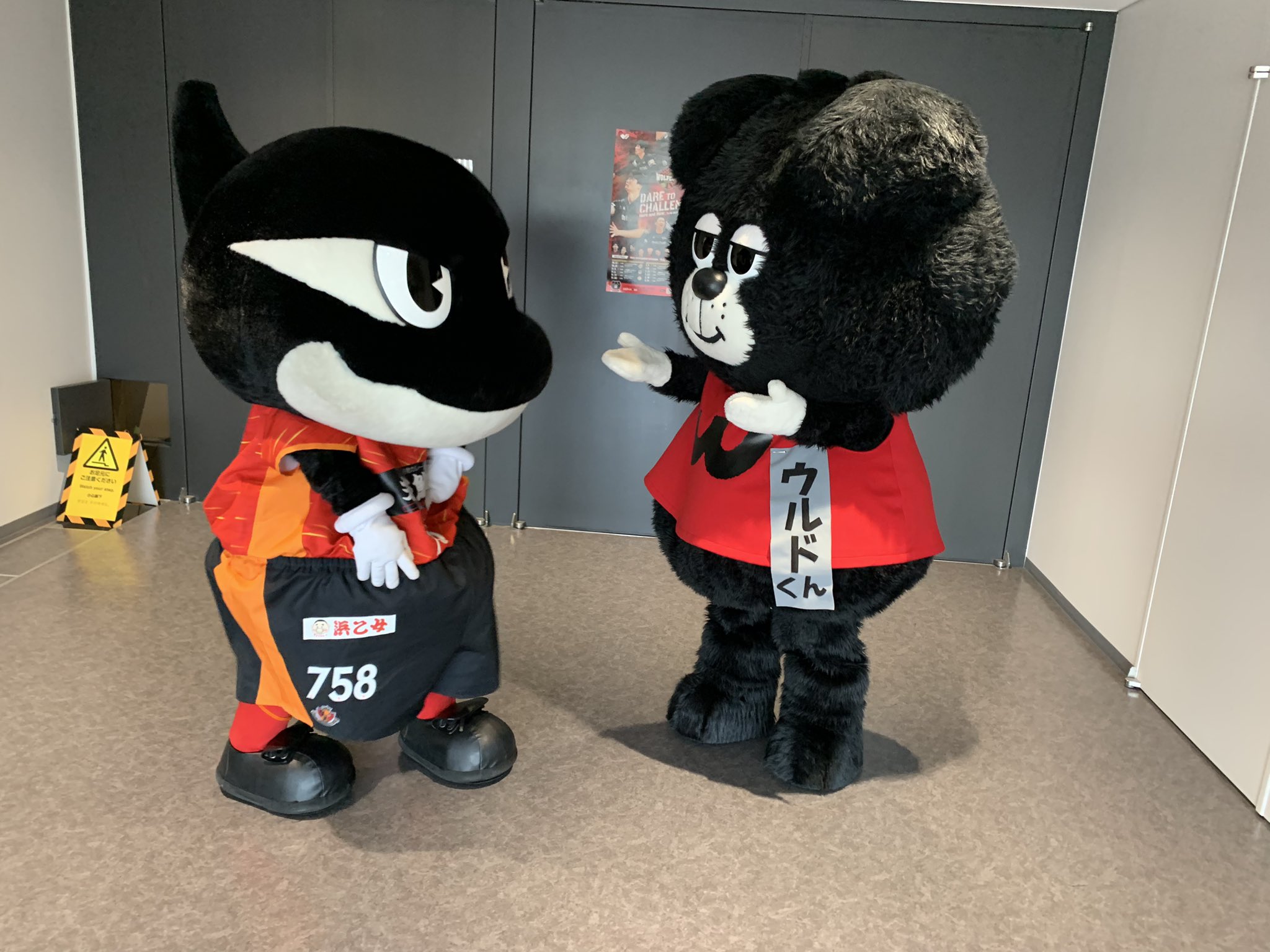 ウルドくん on X: 