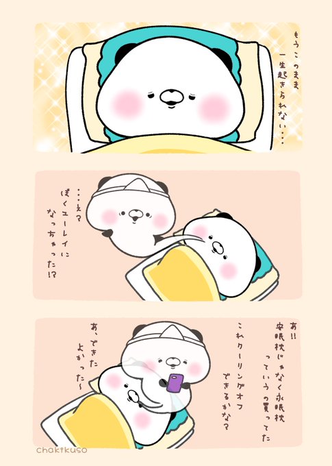 パンダくん安眠枕を買う
おしまい 