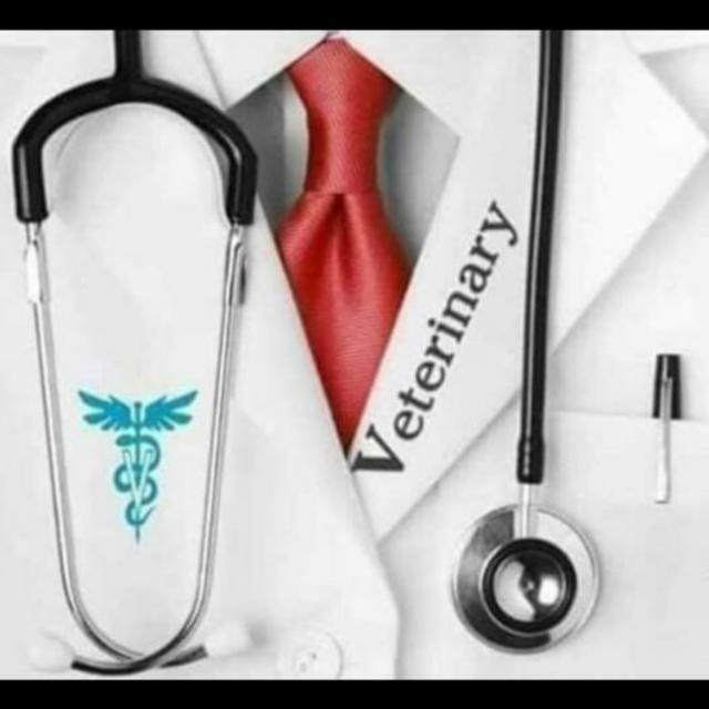 itzcoldon's tweet image. #NewProfilePic