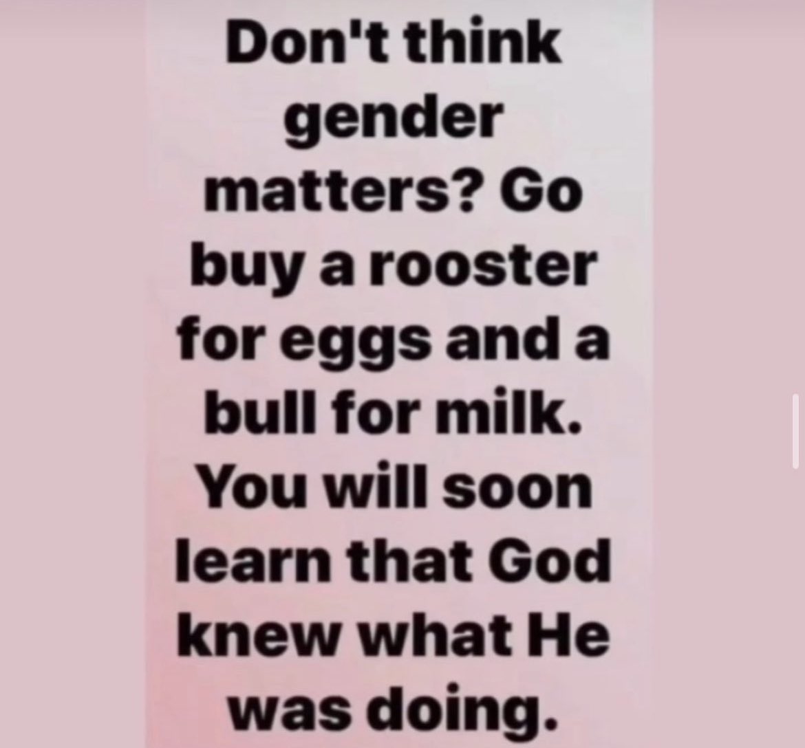 RyannMcEnany's tweet image. 