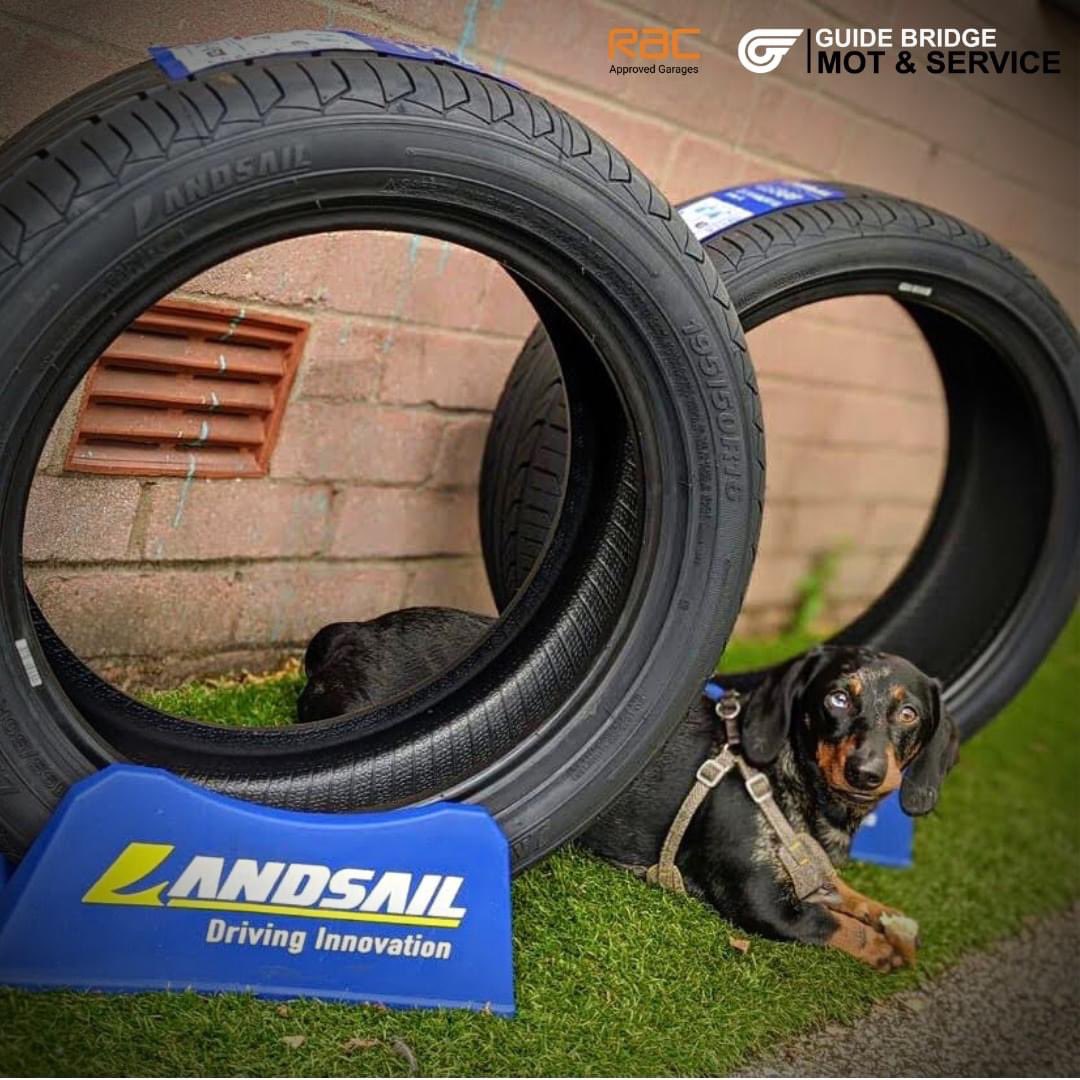Guide_BridgeMOT's tweet image. Here’s our lil Geoff feeling very tyred after his first week back at work @landsail_tyres #tameside #localbusiness #racapproved #garage