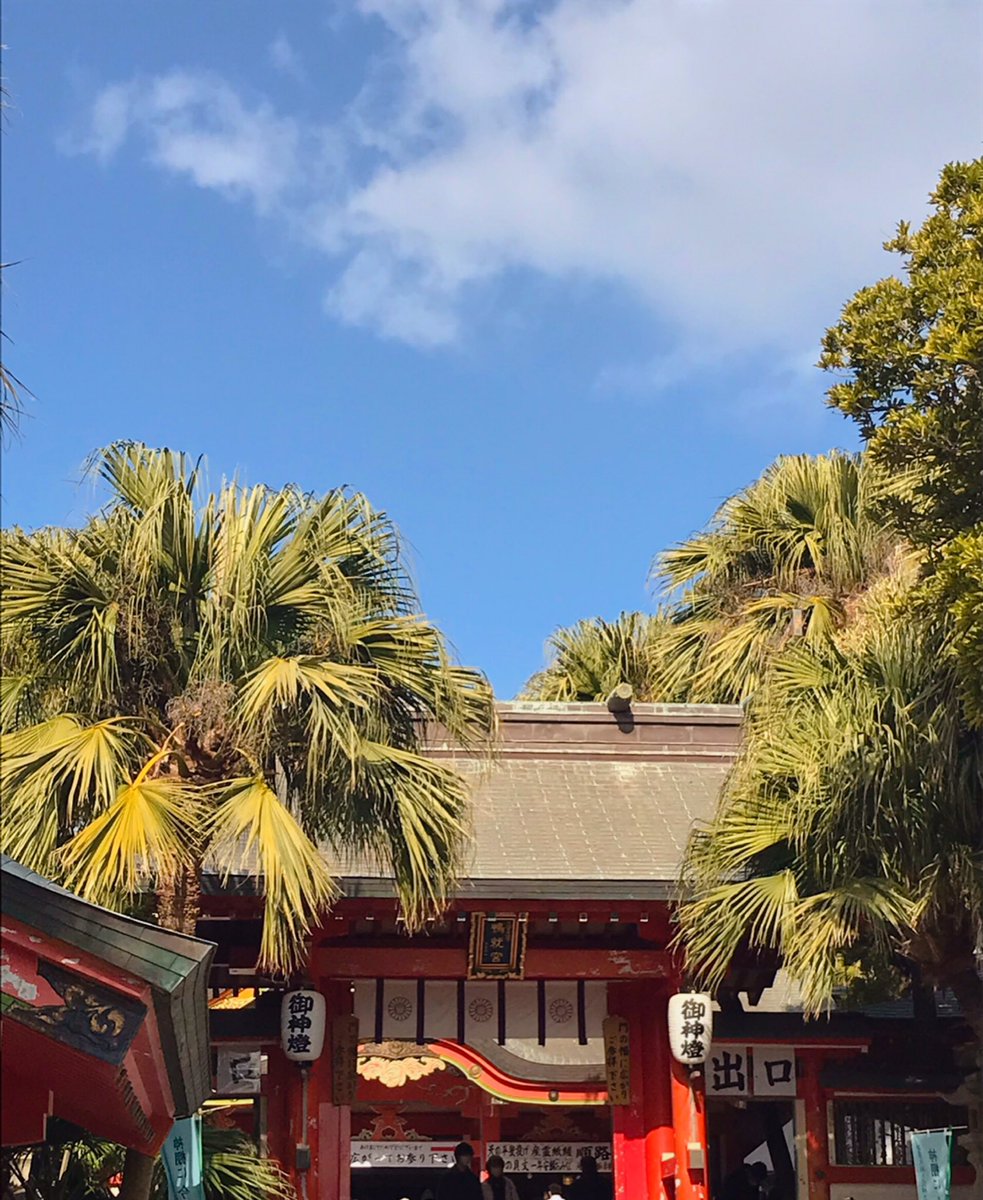 「暴風のなか、青島神社でお参りしてきました。青島の周り新しいお店めっちゃ増えててび」|りんず🐰のイラスト