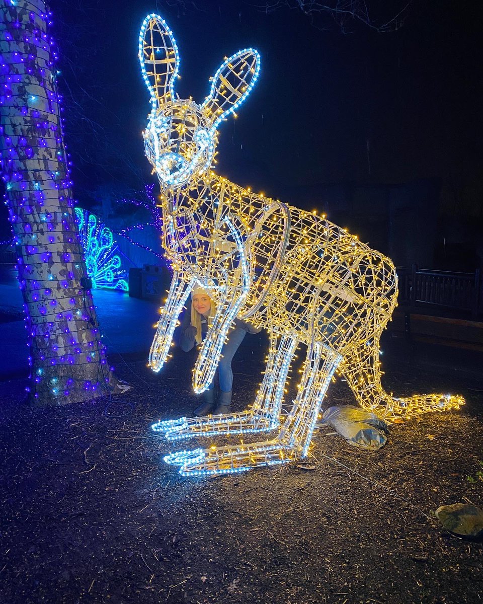 _StephanieHaney's tweet photo. We made it to Wild Winter Lights by the skin of our teeth!
Of course, everyone enjoys the Wild Winter Lights in their own wayโฆ but the important thing is we did it together! #fribae #datenight https://t.co/AQ6e74Zagx
