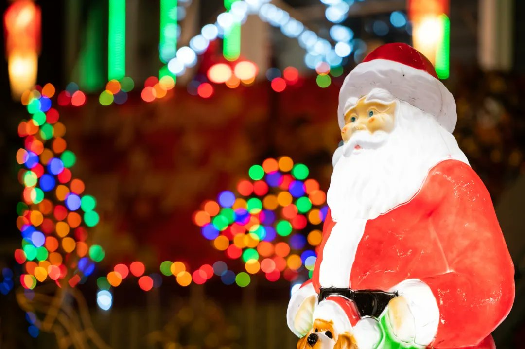BlockClubCHI's tweet photo. 🎄Recycle your broken holiday lights at these 12 drop-off locations: https://t.co/DshgTvdd7p https://t.co/znZhNQP2Bv