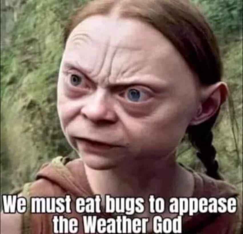 Frenchy_010's tweet photo. @GretaThunberg That’s her 💯 % @GretaThunberg !!!! Go fix your face grumpy face! Andrew tate and his team are way better then your fake 5m followers 🤣 you’re trying to get a cut out of him https://t.co/pZ6Wvx829Q