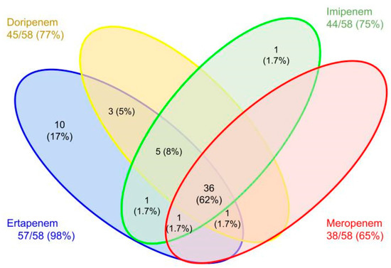 Stigmabase | ORG tweet media
