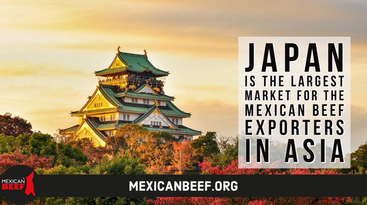 Japón es el principal destino de las exportaciones de carne de res mexicana al mercado asiático. #datosdecarne #datosestadisticos #comercioexterior #comerciodecarne