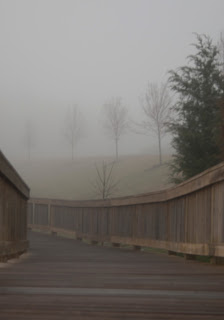 Reetu4's tweet photo. Sometimes we need the Fog

To remind Ourselves 

That all of Our Life is not 

Black and White
#fog #SaturdayVibes https://t.co/LFGkOTAxYP