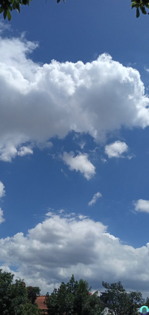 tanyakanrl's tweet photo. 💚 spill foto langit di galeri mu dong https://t.co/t9CYfQ43rT