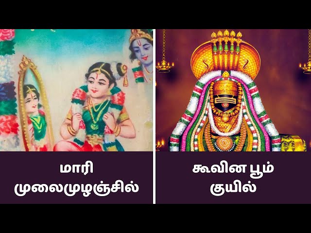 Thamizh Mozhi Koodam tweet media