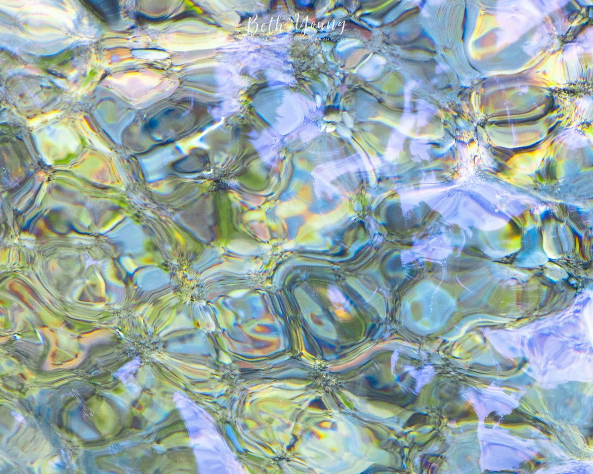 Beth Young tweet media