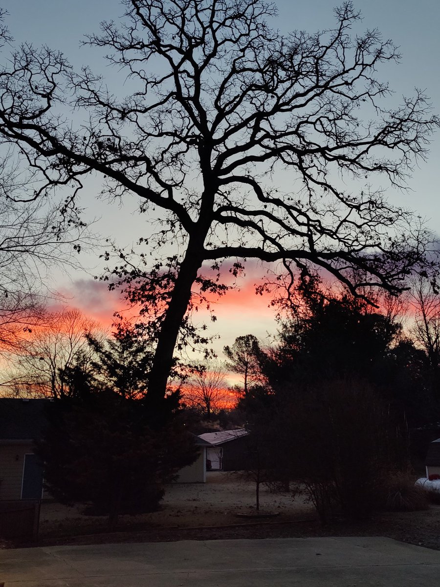 Muhamma94345331's tweet photo. A beautiful morning color https://t.co/NHorgohFYc