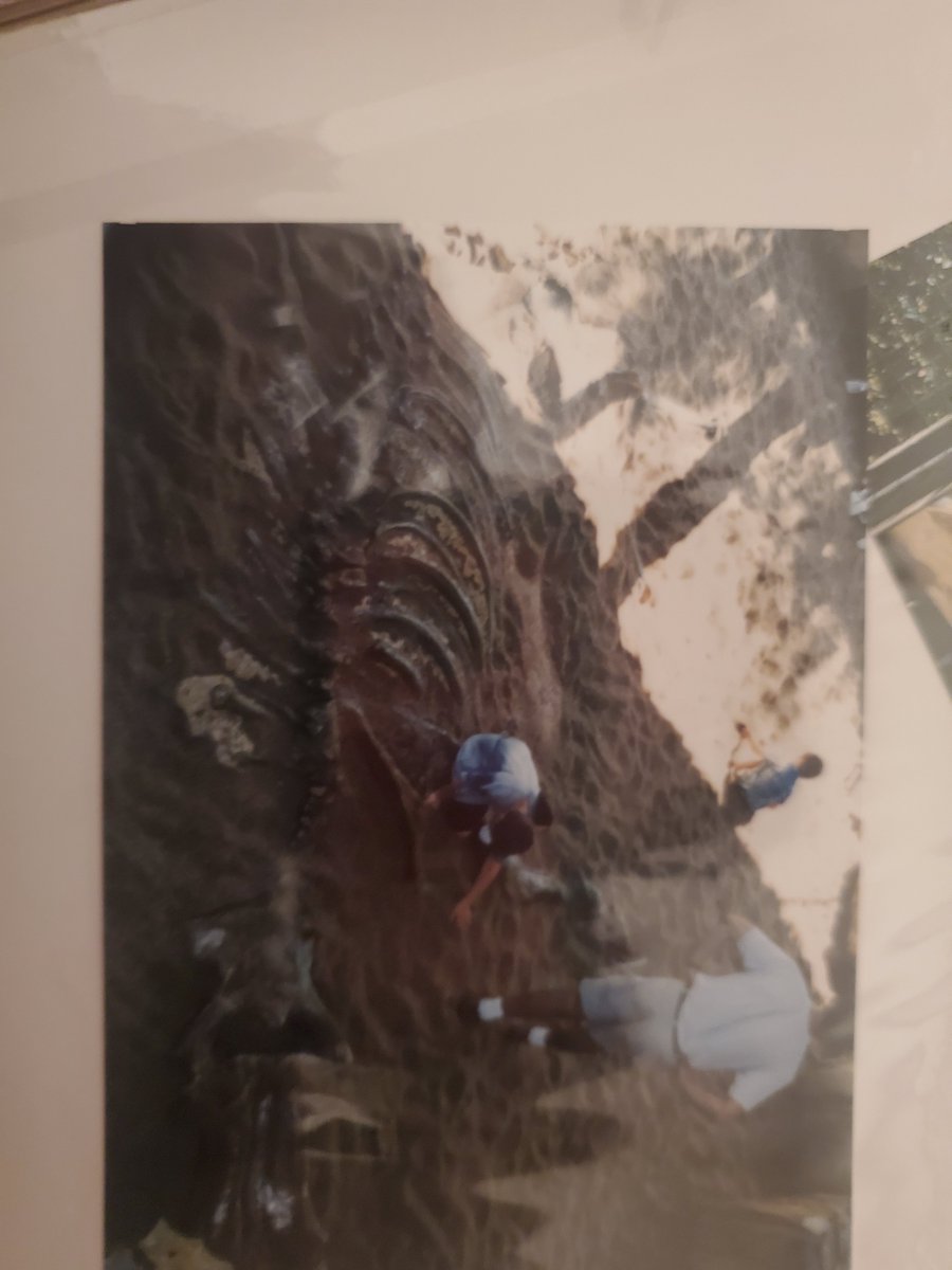 Inspire1Prods's tweet photo. For today’s fossil(s) Friday I thought I would cover an animal that is the state fossil of Nebraska but also once again has a history with both hosts Zach and Devra, the Mammoth.
Now while it is only stated as a mammoth the mascot of Nebraska is Archie who is a Columbian Mammoths https://t.co/wsqj70SvqR