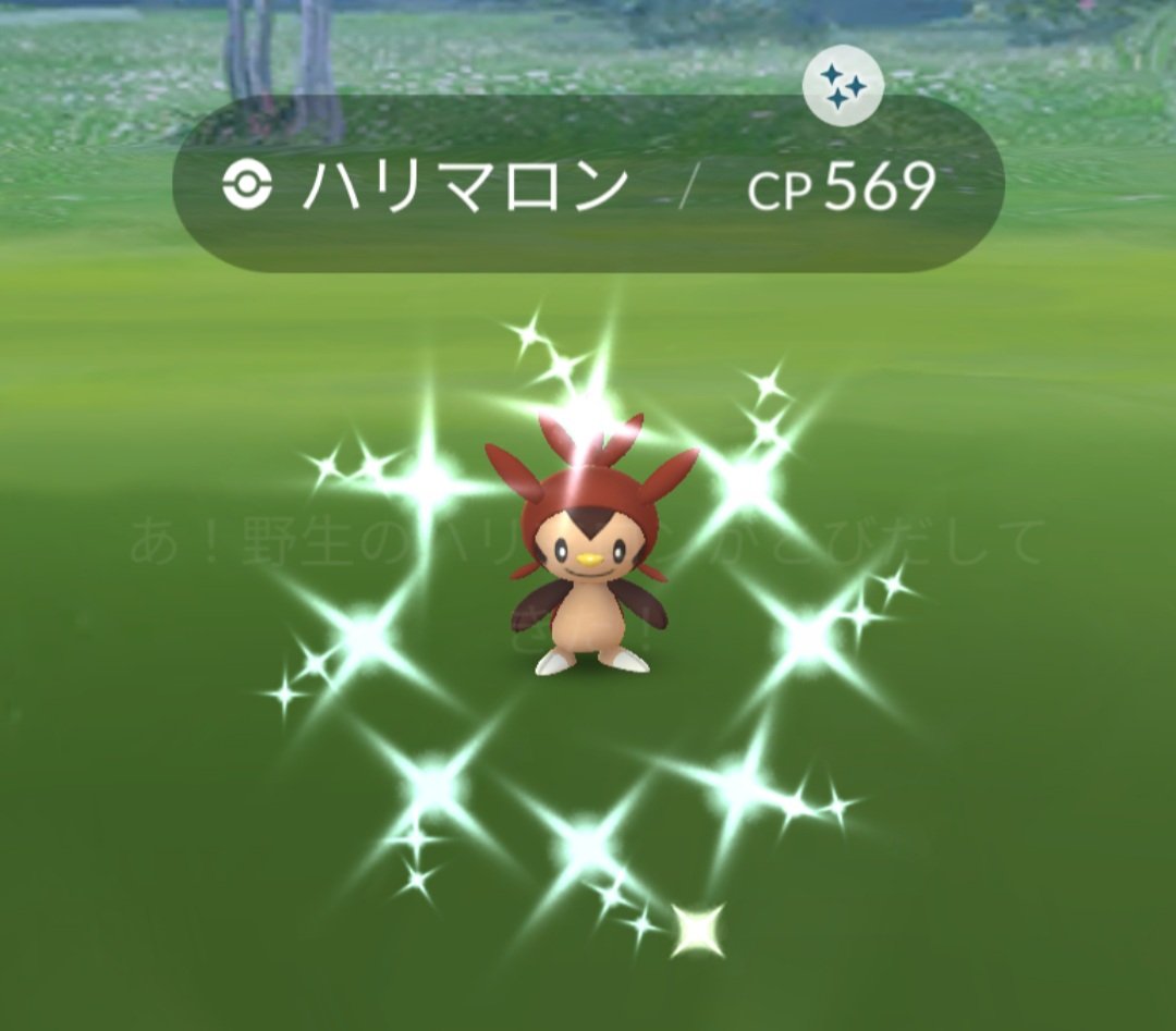 ハリマロン