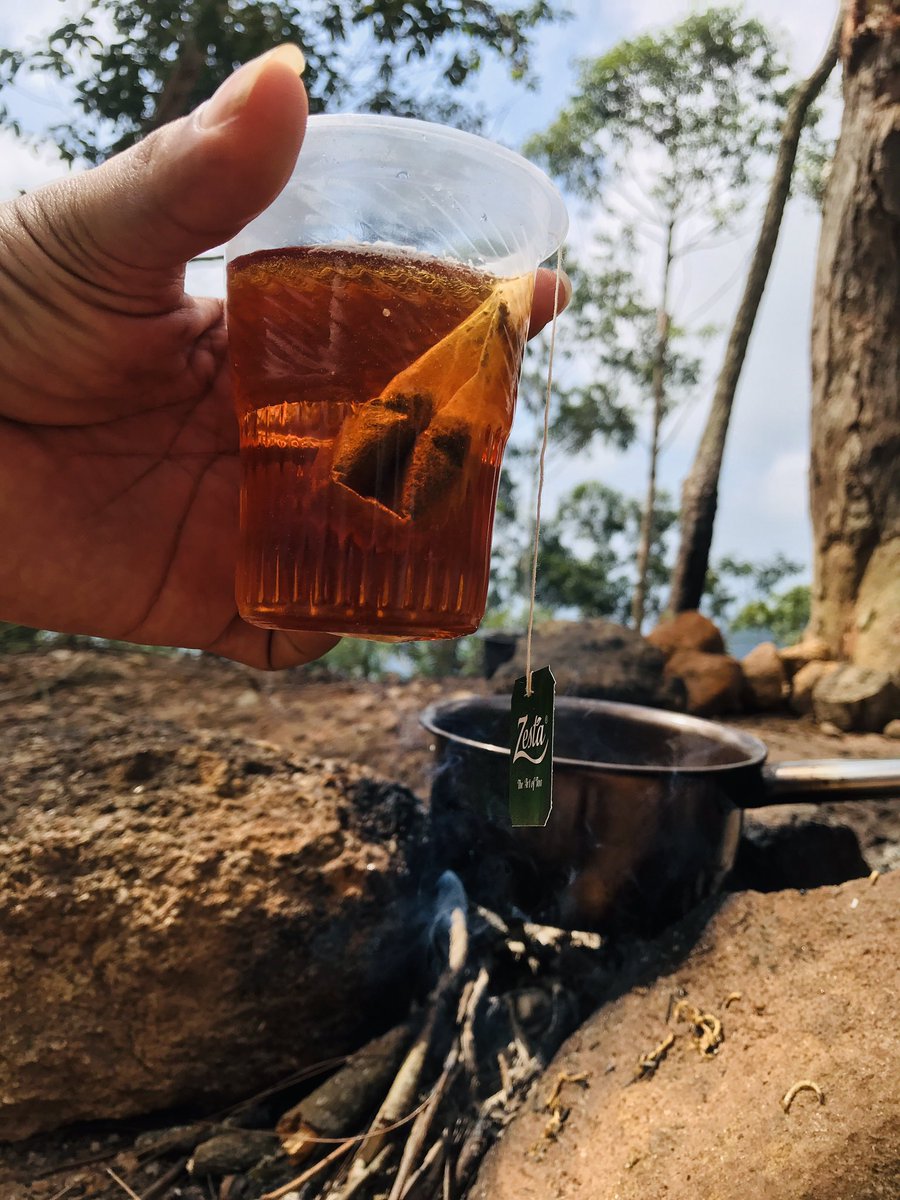 thanuka_prabash's tweet photo. #campingworld2023 #Travel #travelphotography #hikingadventures #Favorite #LifeGoesOn #SriLanka #visitsrilanka #mountains #Journey #Hobbies #freedom #soul https://t.co/SsQGImrIB1