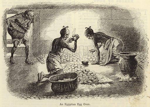 agro_dao's tweet photo. ANCIENT HATCHERIES OF EGYPT 

The origins of artificial incubation is traced back to Egypt where the first hatchery was invented for largescale production of chicken and other birds. After many years, a first replication of the hatchery was made in France. 
#SpeakerVotes #JHOPE https://t.co/qYALhHxEfx