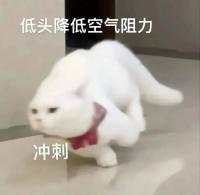 Patience_S_s's tweet photo. 谁会拒绝一个学妹呢 https://t.co/FJmmZbDEHT