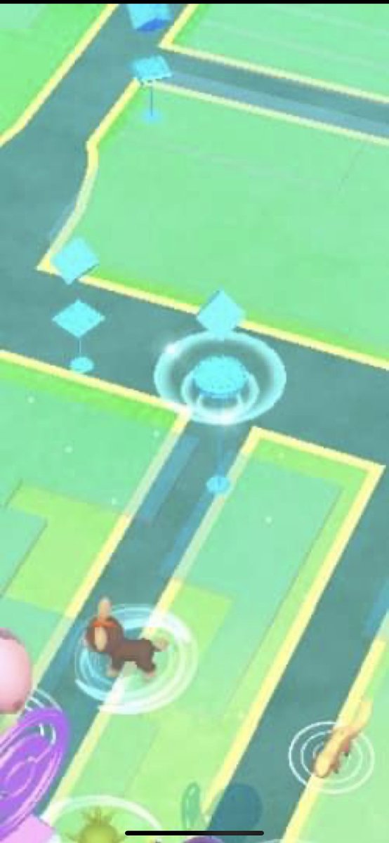 JC_Brooka's tweet photo. Look out for this after com day for kecleon. @MYSTIC7 @thetrainerclubb @AwesomeAdamTV @TheKruseShipYT https://t.co/q2e4uFCssJ