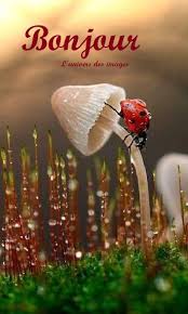 cherifsonia (@cherif06soniay2) on Twitter photo 