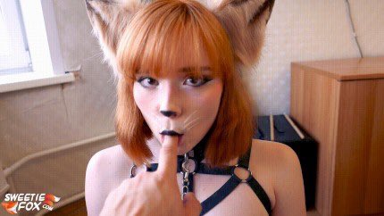SweetyFox tweet media