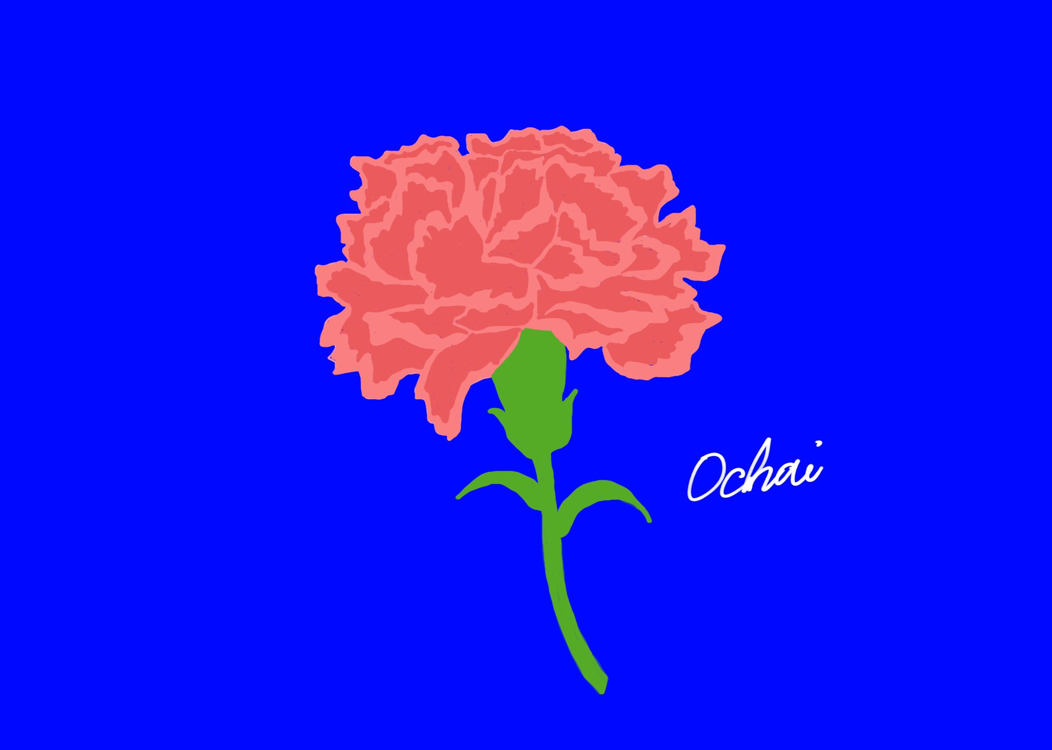9dfchokbhso Nm