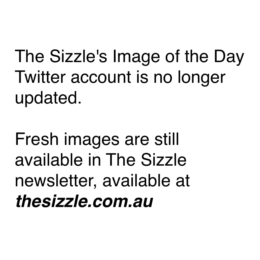 The Sizzle's Image of the Day tweet media
