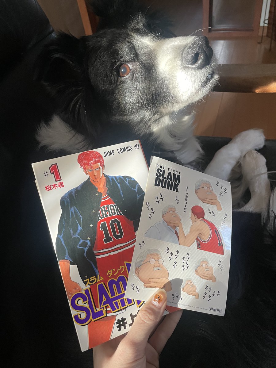 MelissadoesASMR's tweet photo. この間ようやくTHE FIRST SLAM DUNKを観てきたのですが、本当に良かった😭というわけで実家に戻って1巻から再履修してます笑
(私はスラダン世代ではないので、兄の単行本ですが…)
最後に読んだのはいつだったか思い出せないけど、それでもセリフや情景がすっと頭に浮かんでくるのはすごいなあ😌 https://t.co/udwRfk72om