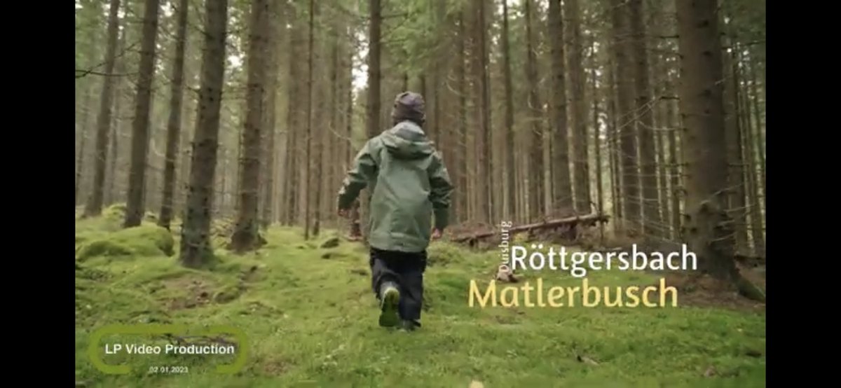Peter04288437's tweet photo. Matlerbusch Duisburg Röttgersbach https://t.co/Jwuww6sQC3 via @YouTube #matlerbusch #Duisburg #wald https://t.co/2Or7obZ9FK