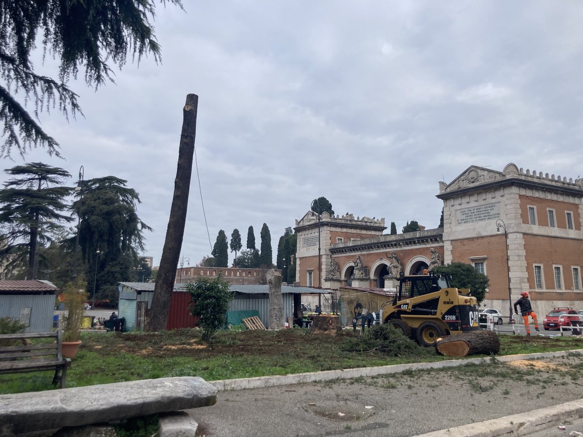casti_alberto's tweet photo. Roma: potatura selvaggia a piazzale del Verano. Dal 6 gennaio abbattuti oltre 15 alberi secolari e l'operazione continua. Ecco che fa chi è incapace ad amministrare valorizzando l'ambiente. 
@rep_roma @Greenpeace_ITA @WWFitalia @SindacodiRomait @gualtierieurope @lasvoltait https://t.co/kwGQsQ9WMS