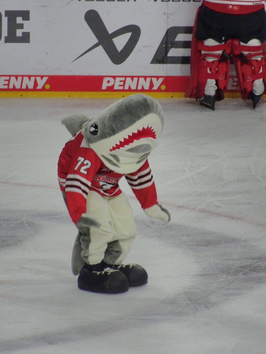 Dragonflames13's tweet photo. Sharky's Dance 🦈🕺🏻 #aufgehtshaie #immerwigger #Sharky @Koelner_Haie_72 https://t.co/TAAECFqpiJ