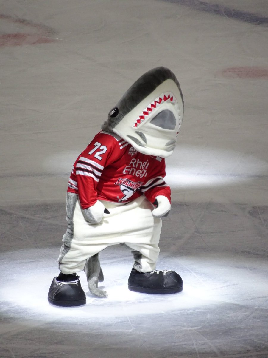 Dragonflames13's tweet photo. Sharky's Dance 🦈🕺🏻 #aufgehtshaie #immerwigger #Sharky @Koelner_Haie_72 https://t.co/TAAECFqpiJ