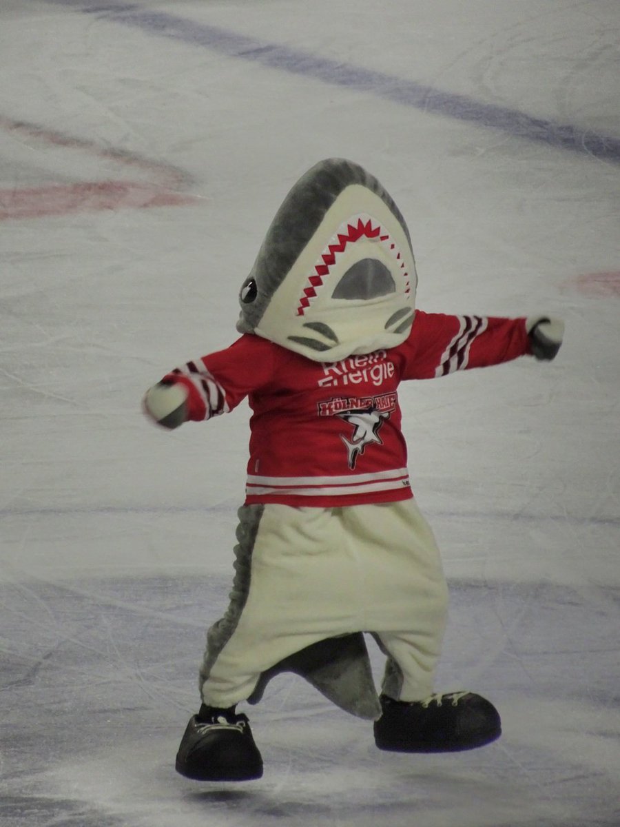 Dragonflames13's tweet photo. Sharky's Dance 🦈🕺🏻 #aufgehtshaie #immerwigger #Sharky @Koelner_Haie_72 https://t.co/TAAECFqpiJ