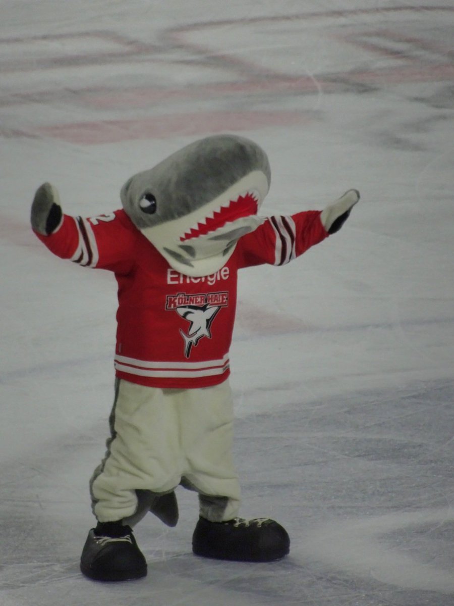 Dragonflames13's tweet photo. Sharky's Dance 🦈🕺🏻 #aufgehtshaie #immerwigger #Sharky @Koelner_Haie_72 https://t.co/TAAECFqpiJ