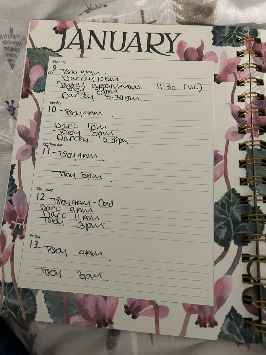 Back to school/uni next week and this is what my diary looks like without work, kids medical appointments, kids social, my runs or any remote chance for me to see friends 😳*gulp* I think I might need my big girl pants this term 😁🫣