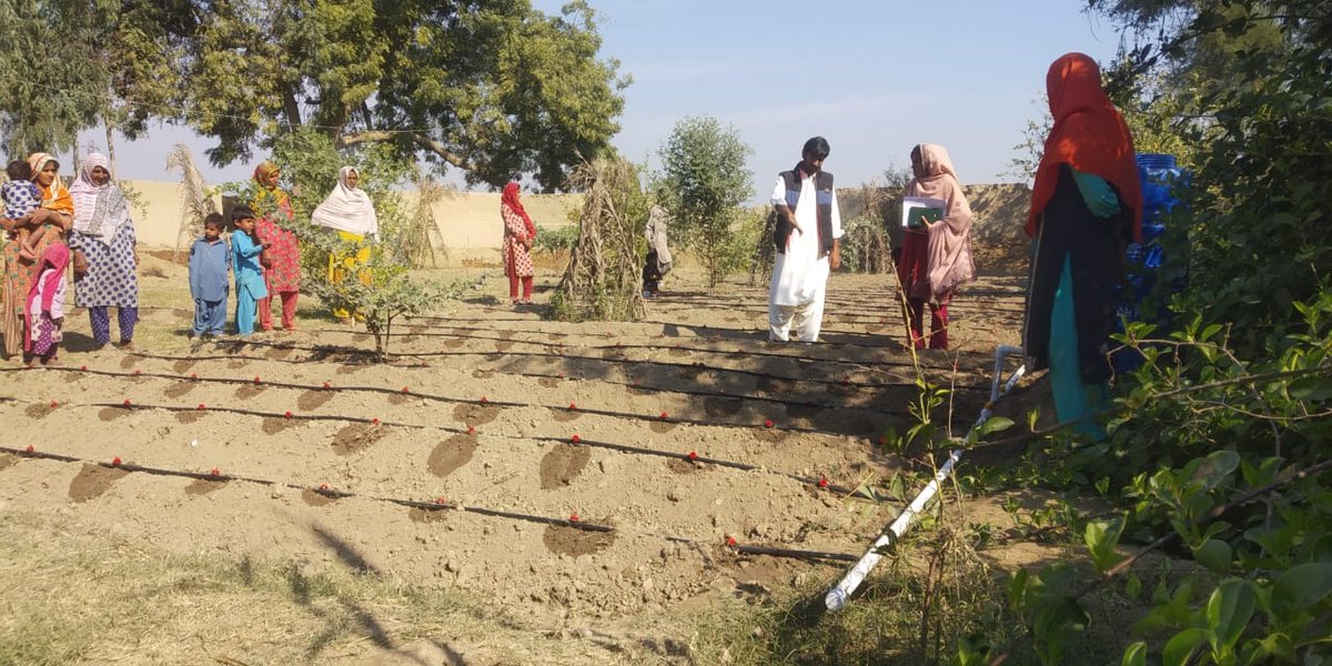 SRSO_Official's tweet photo. #SRSO under #OFWM-GoS supported #SIAPEP organized training session at vlg Banglo Sydan UC Mubarkpur dist #Jacobabad for 14 KG beneficiaries on land preparation & proper use of provided KG tool kits to grow vegetables & fulfil nutrition needs for their family at household level. https://t.co/GXWyUovvWD