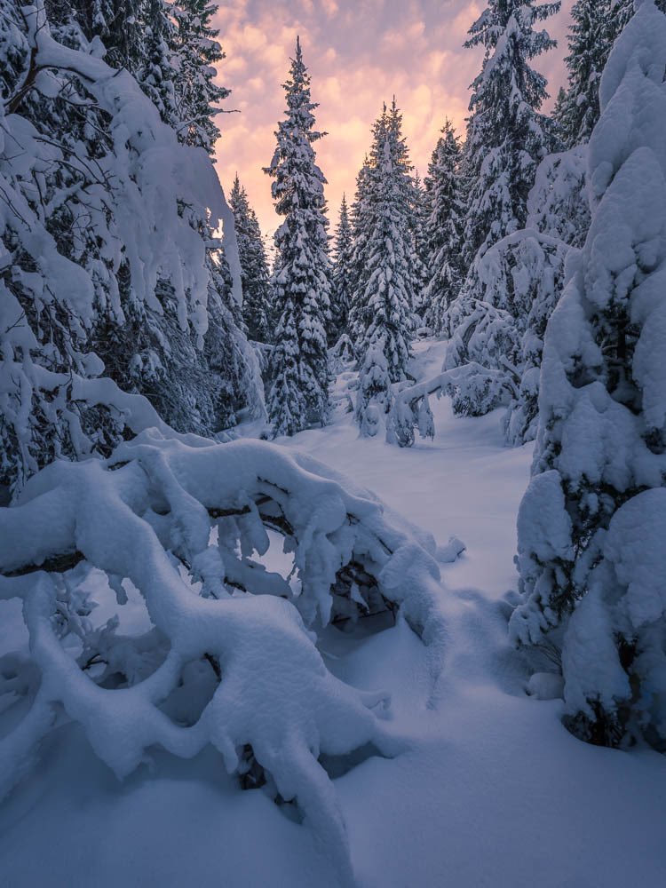 Waist deep. Trondheim, Norway. Jan 2021.