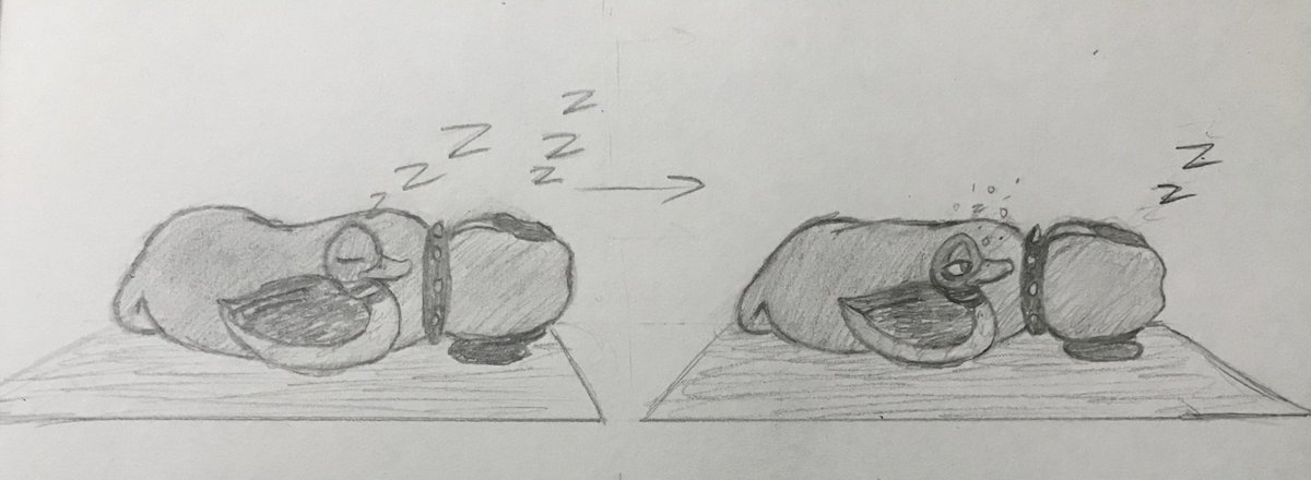 MamaLuigi145's tweet photo. Just 5 more minutes wouldn't hurt... right? https://t.co/nBeITqX4gM
