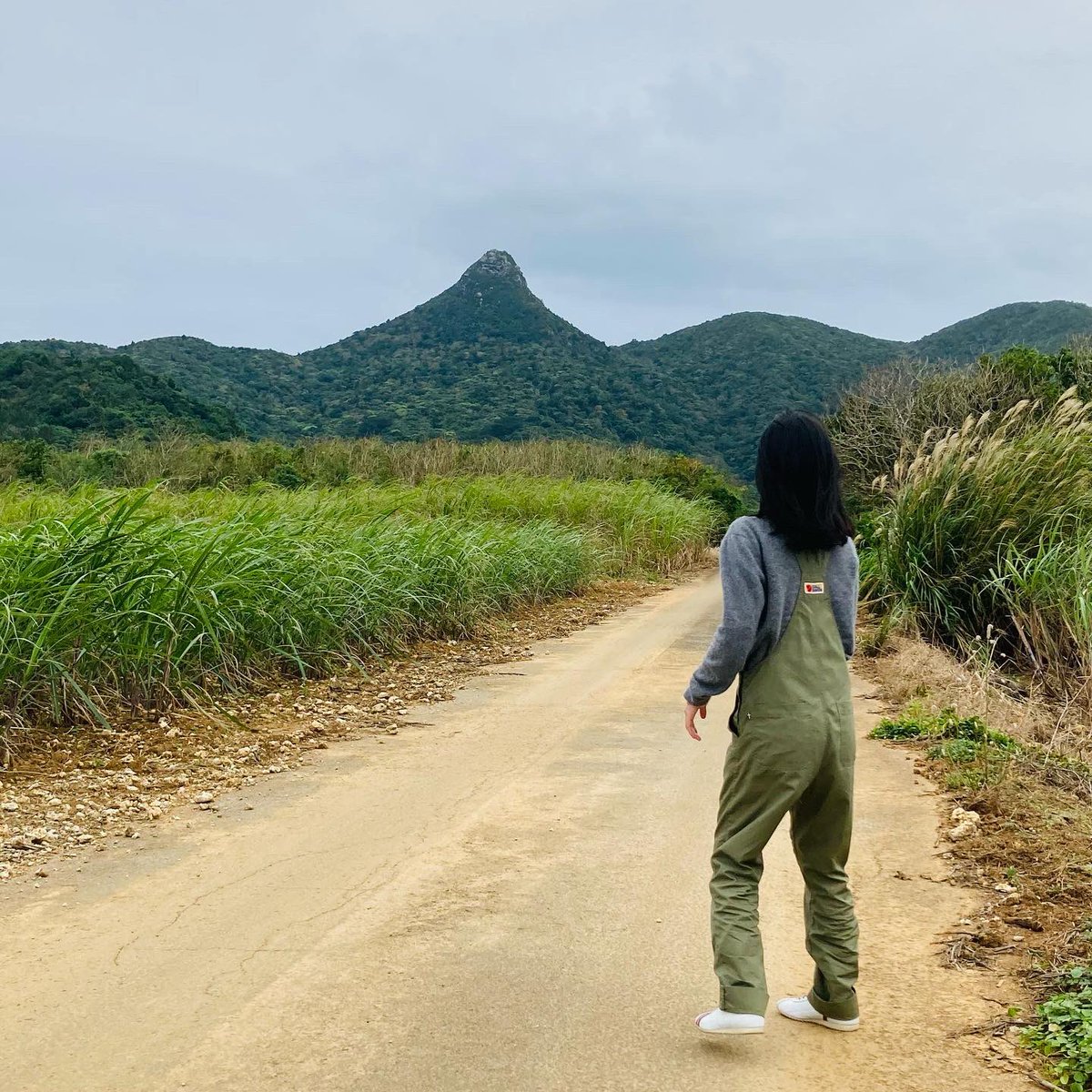 h2mteam's tweet photo. 野底岳(標高282m)
石垣島で2番目に大きな山
・
オーバーオールでも快適、丈夫で動きやすいので、このまま登山できそうです⛰
・
#fjallraven 
#vardagdungareetrousers 
#野底岳 https://t.co/a4YYEb74Vw