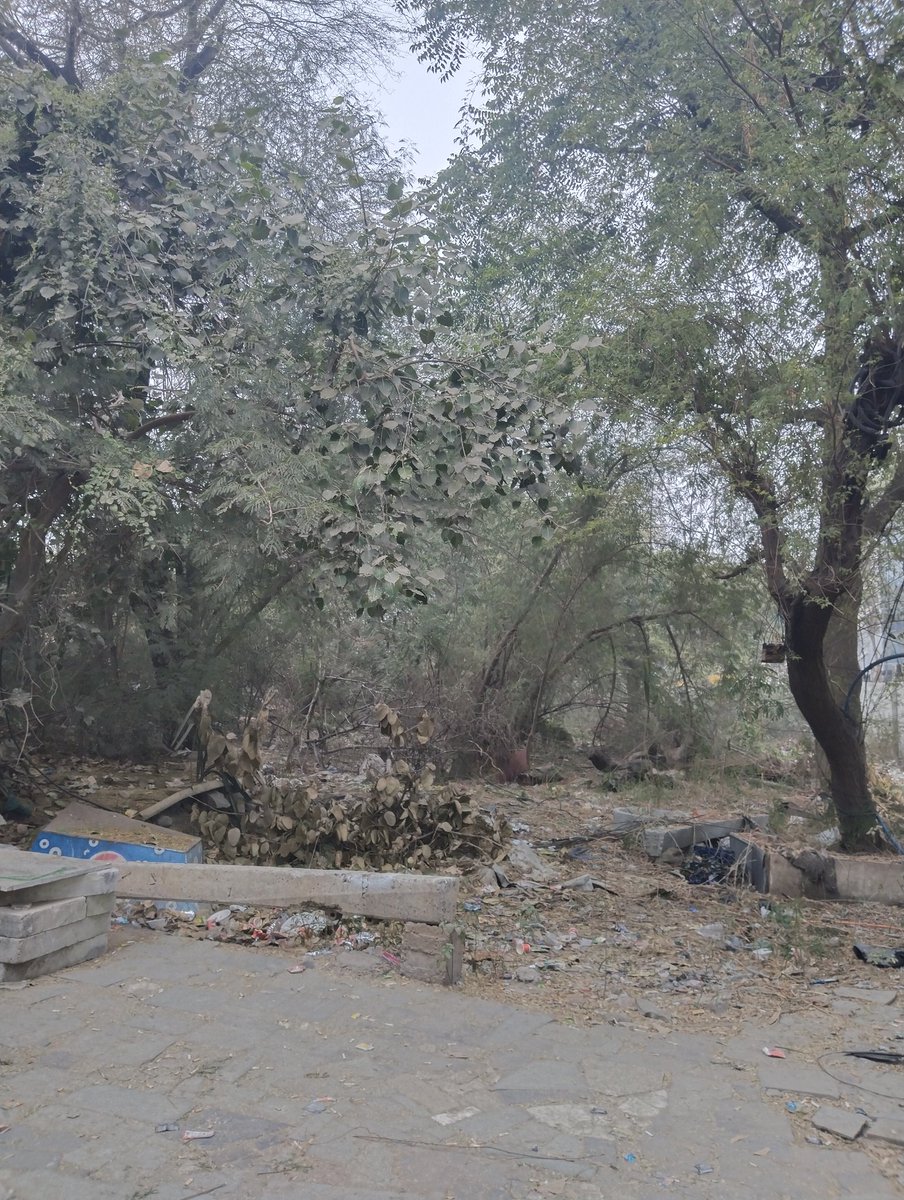 Priyachdhry4's tweet image. 6-30 Metro me chadh kar
Badarpur Boarder
(Rail line ke Paas)Aag sek
Rahi thi aaj itni कड़कड़ाती ठंड में 

After all kyo ?
Daughter ki Govt Job Exam thi:Woh Ek #Sincerely&amp;amp; #systematically kaam karne wali Ladki h

American online #service se Unko 4.5Lacs Milte,
3 Months me 100000+