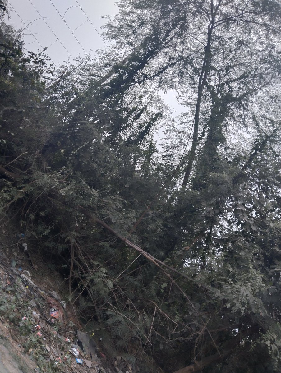 Priyachdhry4's tweet image. 6-30 Metro me chadh kar
Badarpur Boarder
(Rail line ke Paas)Aag sek
Rahi thi aaj itni कड़कड़ाती ठंड में 

After all kyo ?
Daughter ki Govt Job Exam thi:Woh Ek #Sincerely&amp;amp; #systematically kaam karne wali Ladki h

American online #service se Unko 4.5Lacs Milte,
3 Months me 100000+