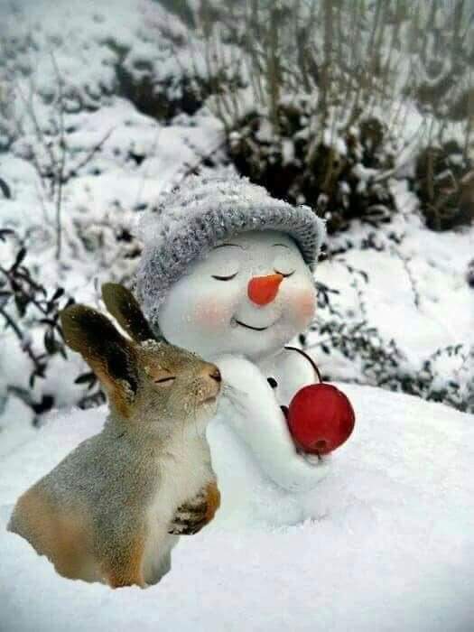 GÜNAYDIN nnn...
Sabahınız hayrolsun...
Gününüz aydın yolunuz hep açık olsun..
MUTLU bir haftasonu dileğiyle..❄️🌹❄️