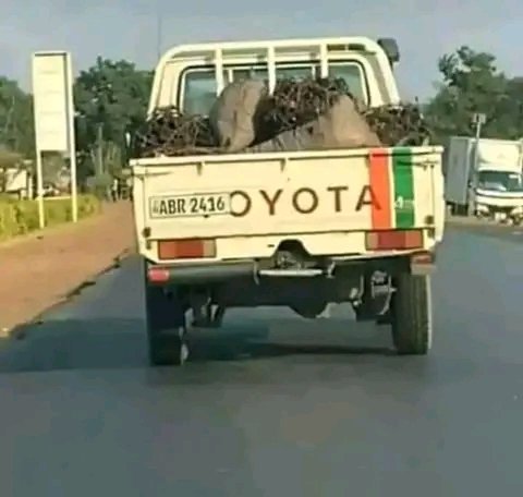 njoyatembo's tweet photo. Elo lwanya.

#zesco #charcoal #ClimateScam #climatechange #electricity #solarpower #bioenergy https://t.co/zDWemeI5FY
