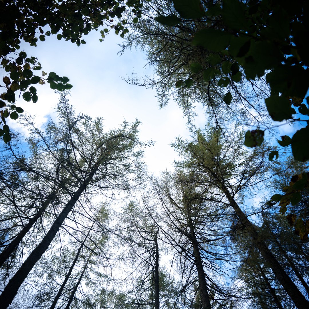 NaturalEngland's tweet photo. Are you a #creative interested in #ClimateChange?

There are still a few days left to apply for @theccchallenge to help communicate the impacts of a changing climate on nature.

Find out more and enter: https://t.co/GTbSIKpBTI

📅  Closes 13 January https://t.co/r7qRnOqrJ2