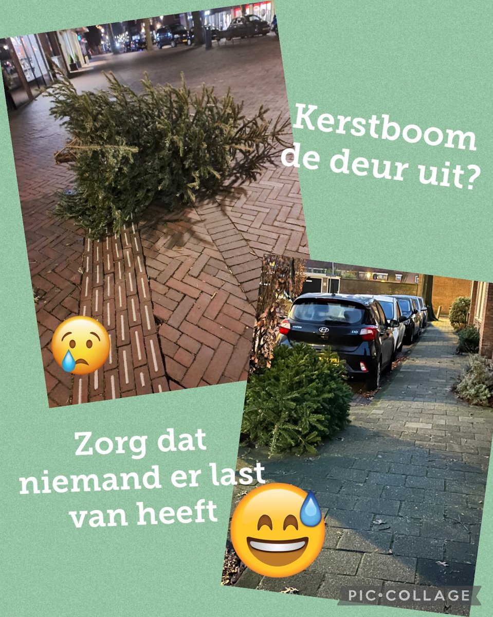 Kerstbomen de deur uit? Zorg dat iemand er last van heeft.

#HeemstedeToegankelijk