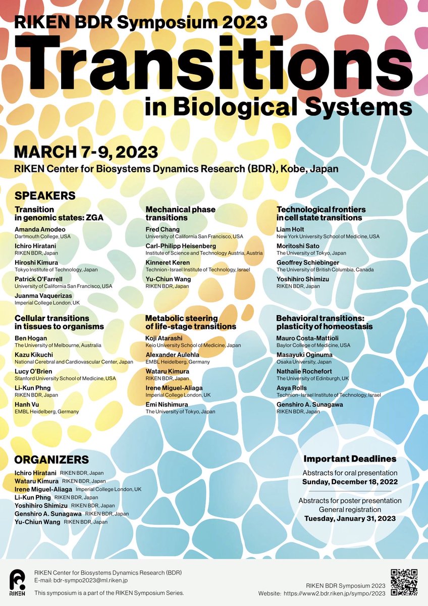 Only two days (extended deadline: Jan 9) left to submit your abstract for a short talk at RIKEN BDR Symposium 2023. We will explore transitions in biological systems in topics ranging from genome, mechanics, cell state, metabolism to behavior.  tinyurl.com/2ftmv4w4 Please RT.