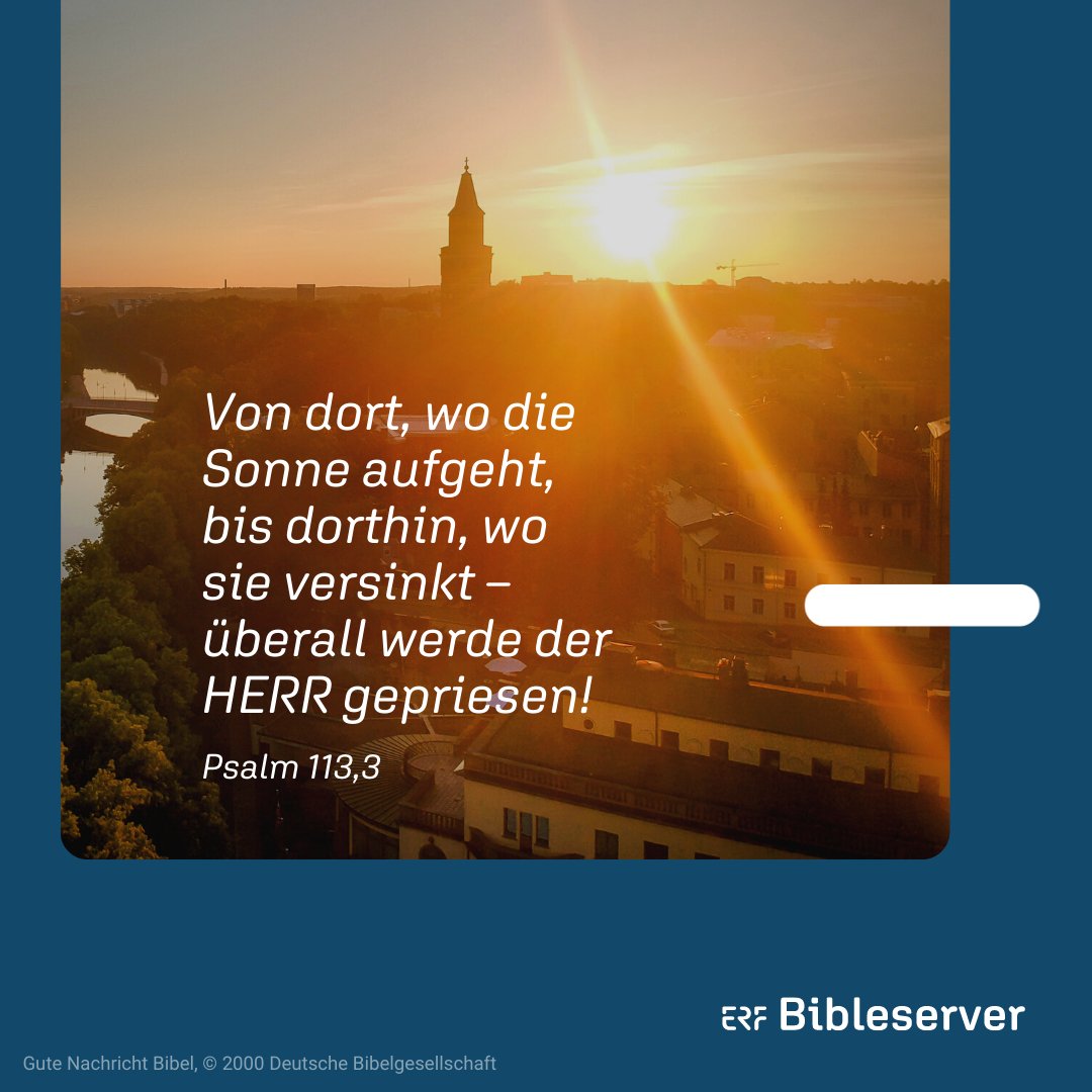 EFG Giessen (@efggiessen) on Twitter photo 