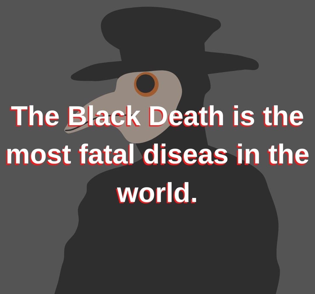 focusonenglish0's tweet photo. If you want to read, you can reach the article form our blog account. Blog account on bio💀☠️ #englishlearning @y_sehit #English #englishmagazine #language #schoolmagazine #blackdeath #plague https://t.co/qUdLCcz3Tg