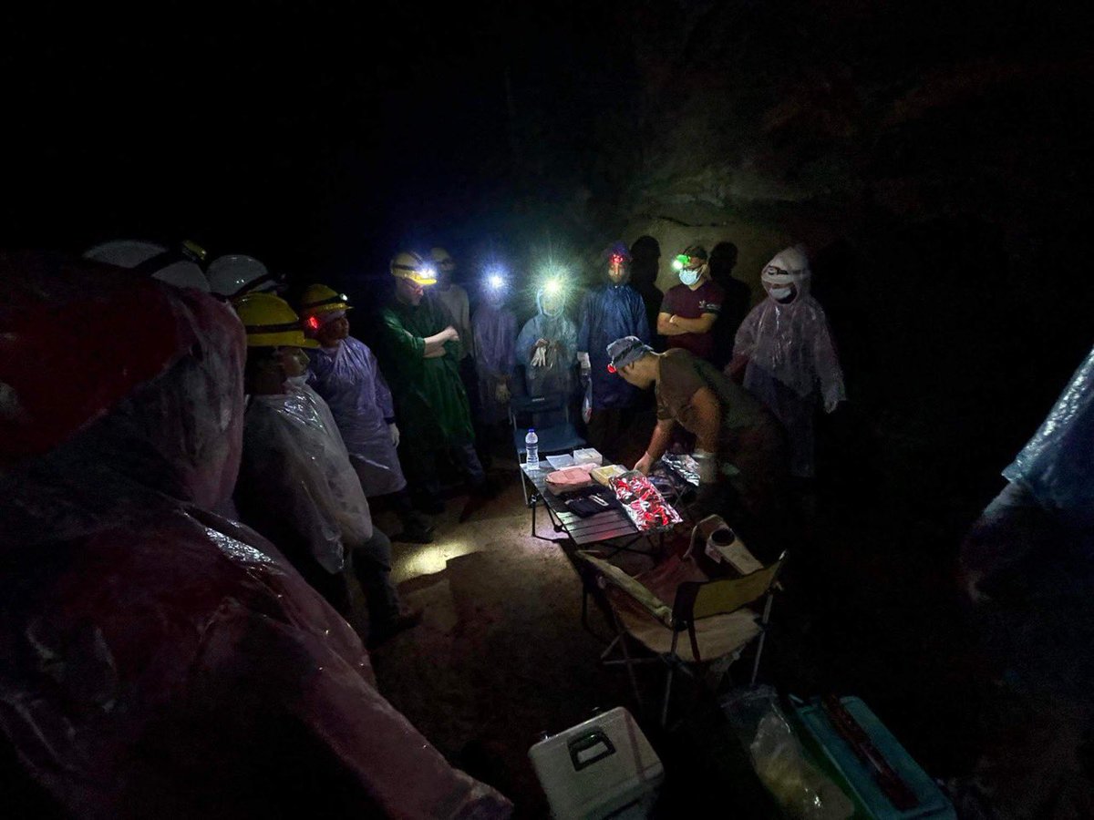 PIPAT SOISOOK tweet media